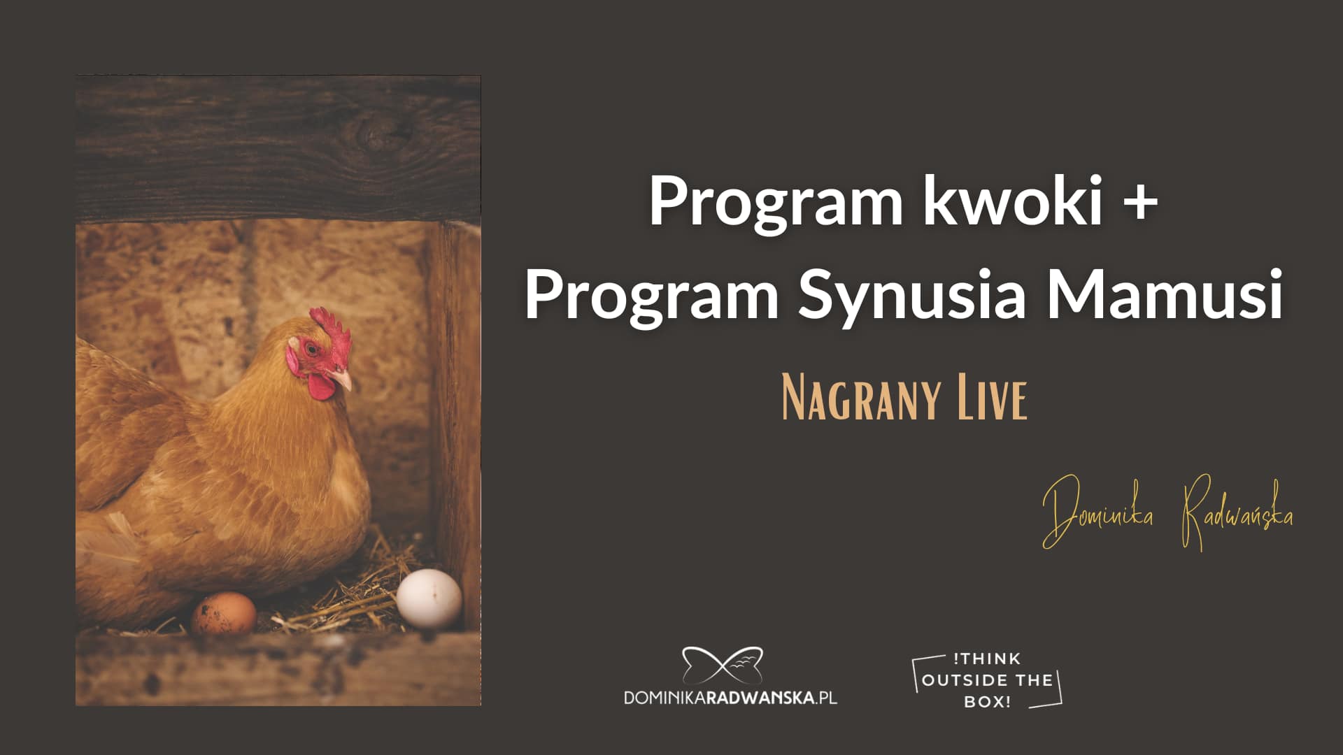 Program Kwoki + Program Synusia Mamusi